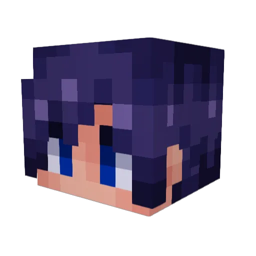 TheBootesVoid Minecraft avatar head, 3D render