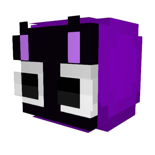 TheBossCatA2 Minecraft avatar head, 3D render
