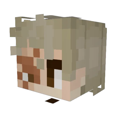 TheBowl0fRice Minecraft avatar head, 3D render