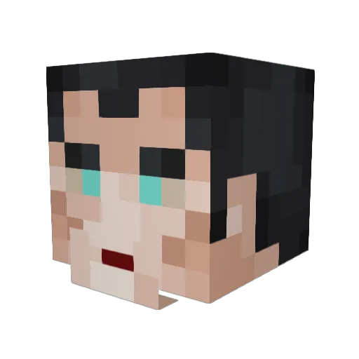 TheBoxBoi Minecraft avatar head, 3D render