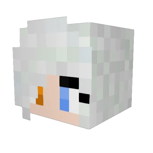 TheBoy2Kz Minecraft avatar head, 3D render