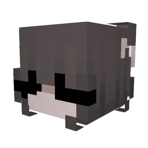 TheBoyofLand Minecraft avatar head, 3D render