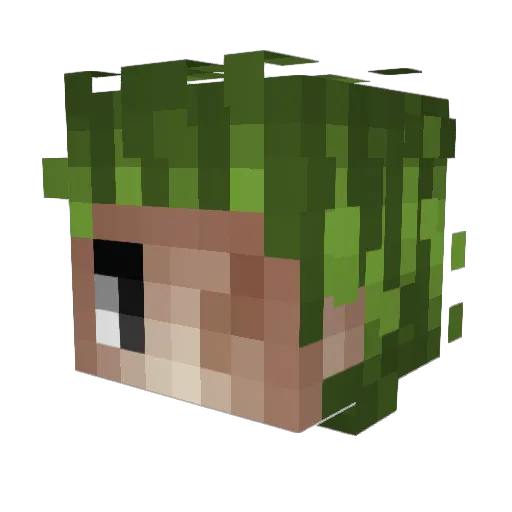 TheBraxy Minecraft avatar head, 3D render