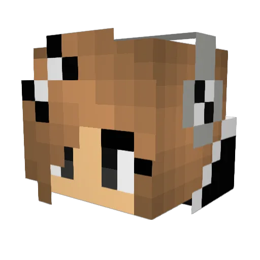 TheBroCohen Minecraft avatar head, 3D render