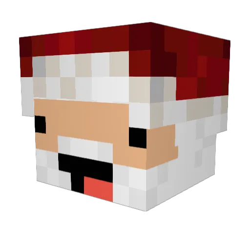TheBrokenAce4 Minecraft avatar head, 3D render