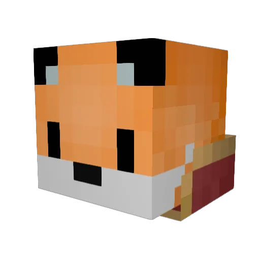 TheBrokenFox113 Minecraft avatar head, 3D render