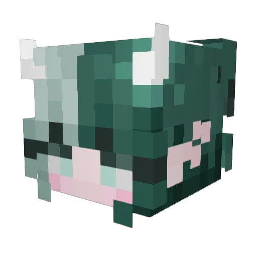 TheBrokenOrigin Minecraft avatar head, 3D render