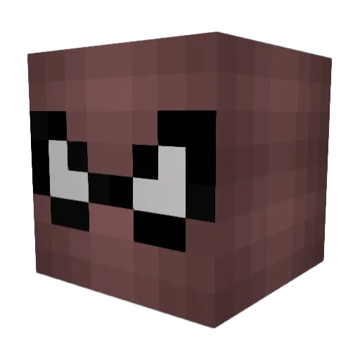 TheBrownAsian Minecraft avatar head, 3D render