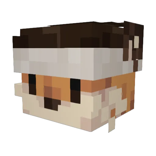 TheBubi25 Minecraft avatar head, 3D render