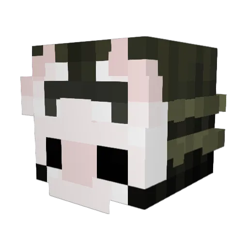 TheBugCollector Minecraft avatar head, 3D render