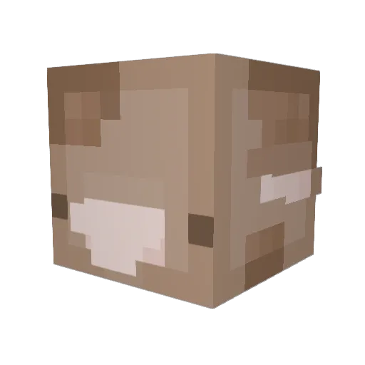 TheBungee Minecraft avatar head, 3D render