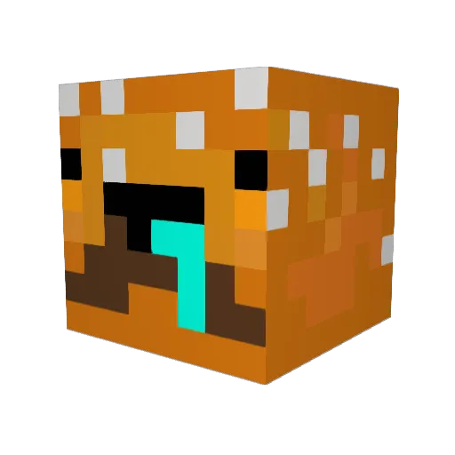 TheBurgerSwag Minecraft avatar head, 3D render