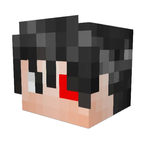 TheBurningNinja Minecraft avatar head, 3D render