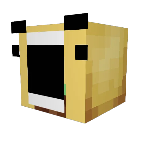 TheBurrito6283 Minecraft avatar head, 3D render