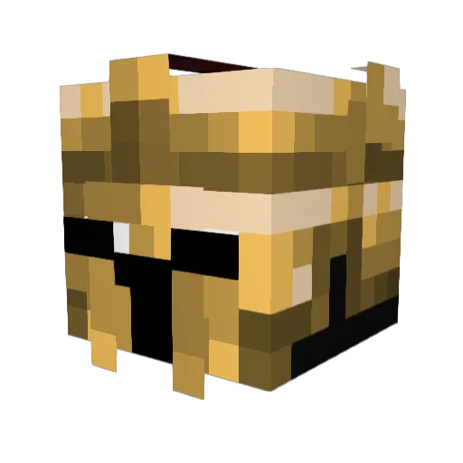 TheBush3324 Minecraft avatar head, 3D render