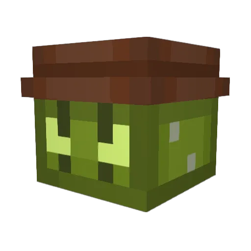 TheCactusOficial Minecraft avatar head, 3D render