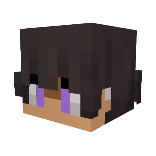 TheCalamity6054 Minecraft avatar head, 3D render