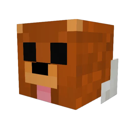 TheCalebHimself Minecraft avatar head, 3D render