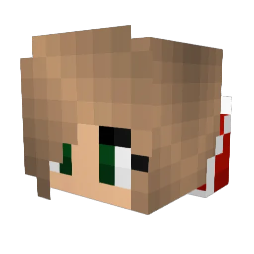 TheCanadian03 Minecraft avatar head, 3D render