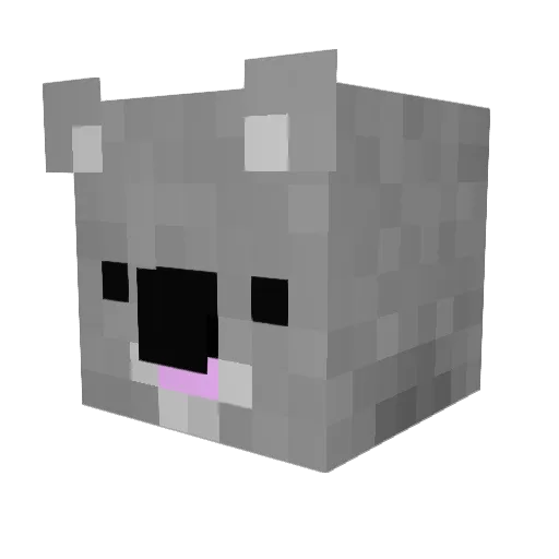 TheCanadianKoala Minecraft avatar head, 3D render