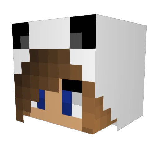 TheCandyFloss Minecraft avatar head, 3D render