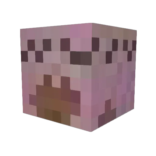 TheCannibalRose Minecraft avatar head, 3D render