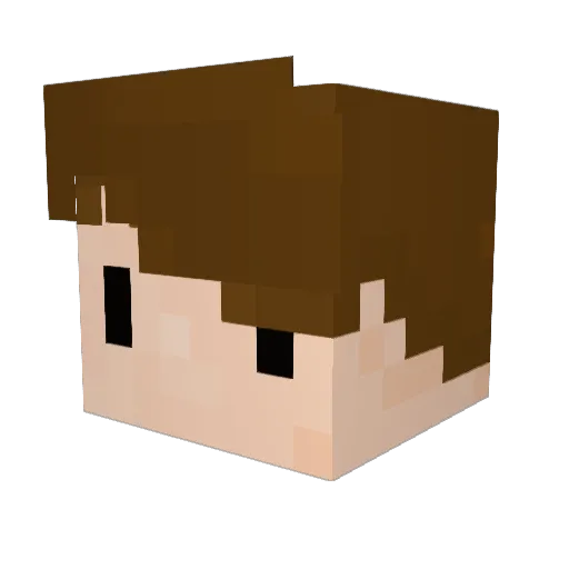 TheCarl3000 Minecraft avatar head, 3D render