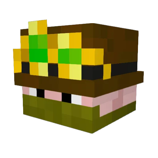 TheCartographer Minecraft avatar head, 3D render