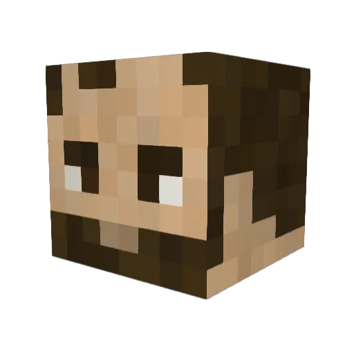TheCartol Minecraft avatar head, 3D render