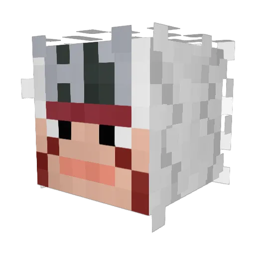 TheCartooner Minecraft avatar head, 3D render