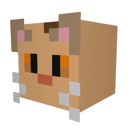 TheCasinoCat Minecraft avatar head, 3D render