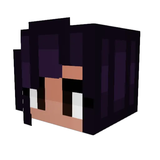 TheCatBusRiders Minecraft avatar head, 3D render