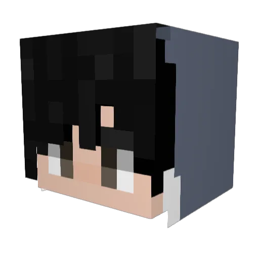 TheCatKing1234 Minecraft avatar head, 3D render