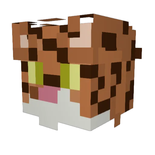 TheCatOfUlthar Minecraft avatar head, 3D render