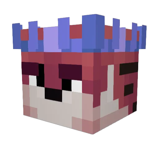 TheCatsKing Minecraft avatar head, 3D render