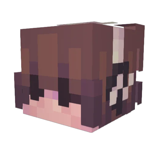 TheCheddarJackYT Minecraft avatar head, 3D render