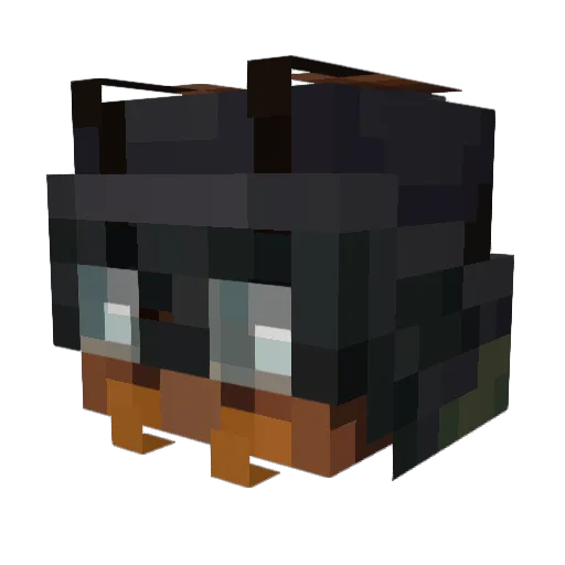 TheCherry270 Minecraft avatar head, 3D render