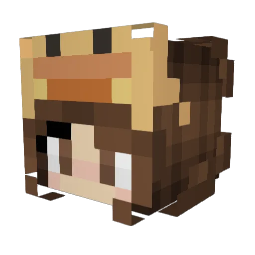 TheChicken_810 Minecraft avatar head, 3D render