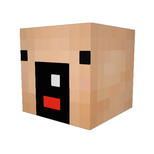 TheChildFondler Minecraft avatar head, 3D render