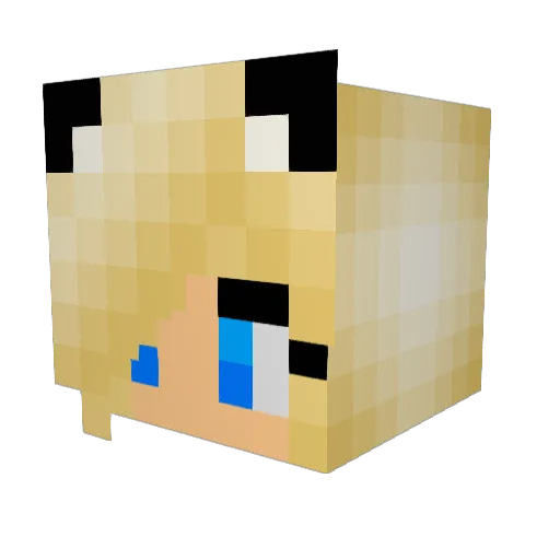 TheChita Minecraft avatar head, 3D render