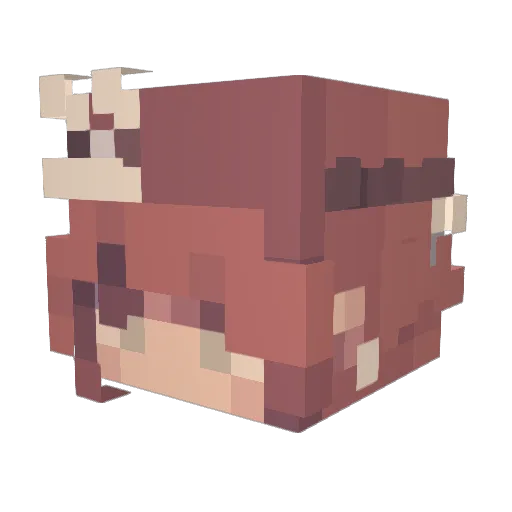 TheChonker3000 Minecraft avatar head, 3D render