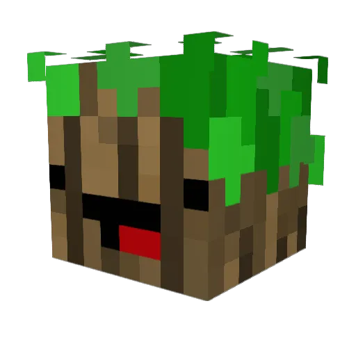 TheChosenTree Minecraft avatar head, 3D render