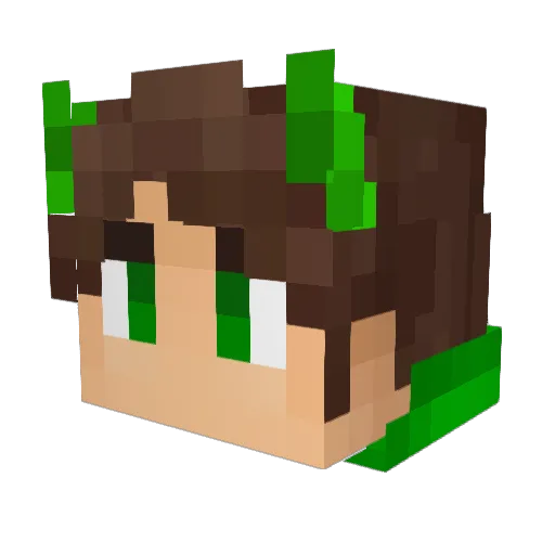 TheChosenWham Minecraft avatar head, 3D render