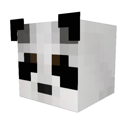 TheChromeWizard Minecraft avatar head, 3D render