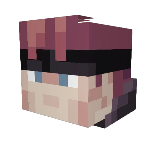 TheChromosomeMan Minecraft avatar head, 3D render