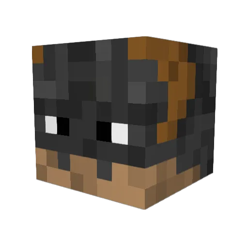 TheChui84 Minecraft avatar head, 3D render