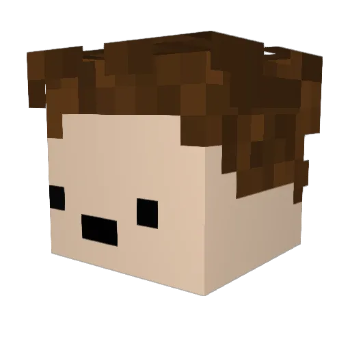 TheChunkySeagull Minecraft avatar head, 3D render