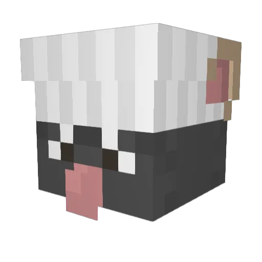 TheClayKing Minecraft avatar head, 3D render