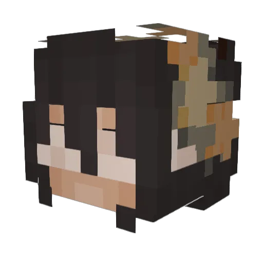 TheConcher Minecraft avatar head, 3D render