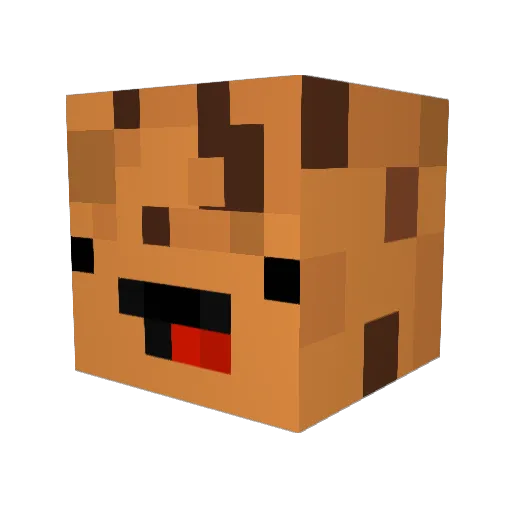 TheCookie937 Minecraft avatar head, 3D render